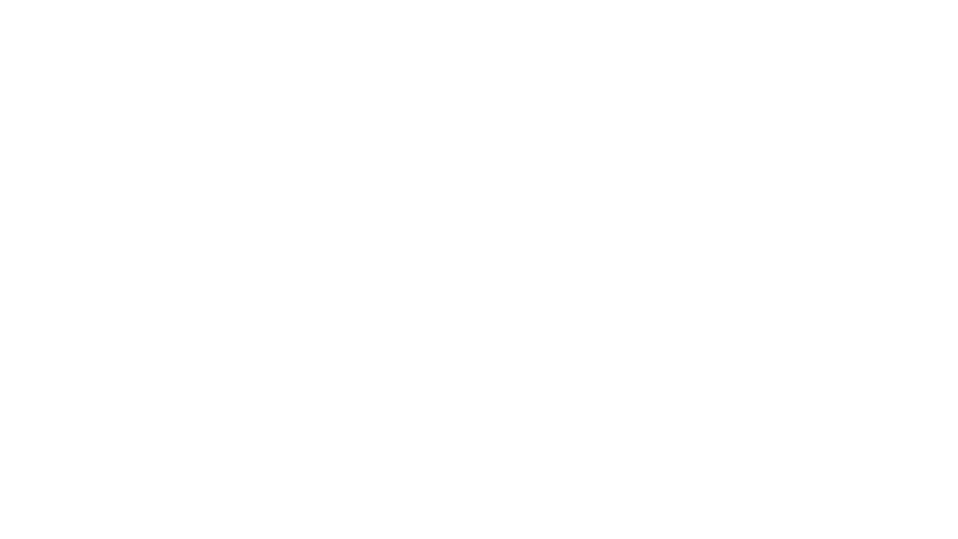 P.A.C.E.S. Logo